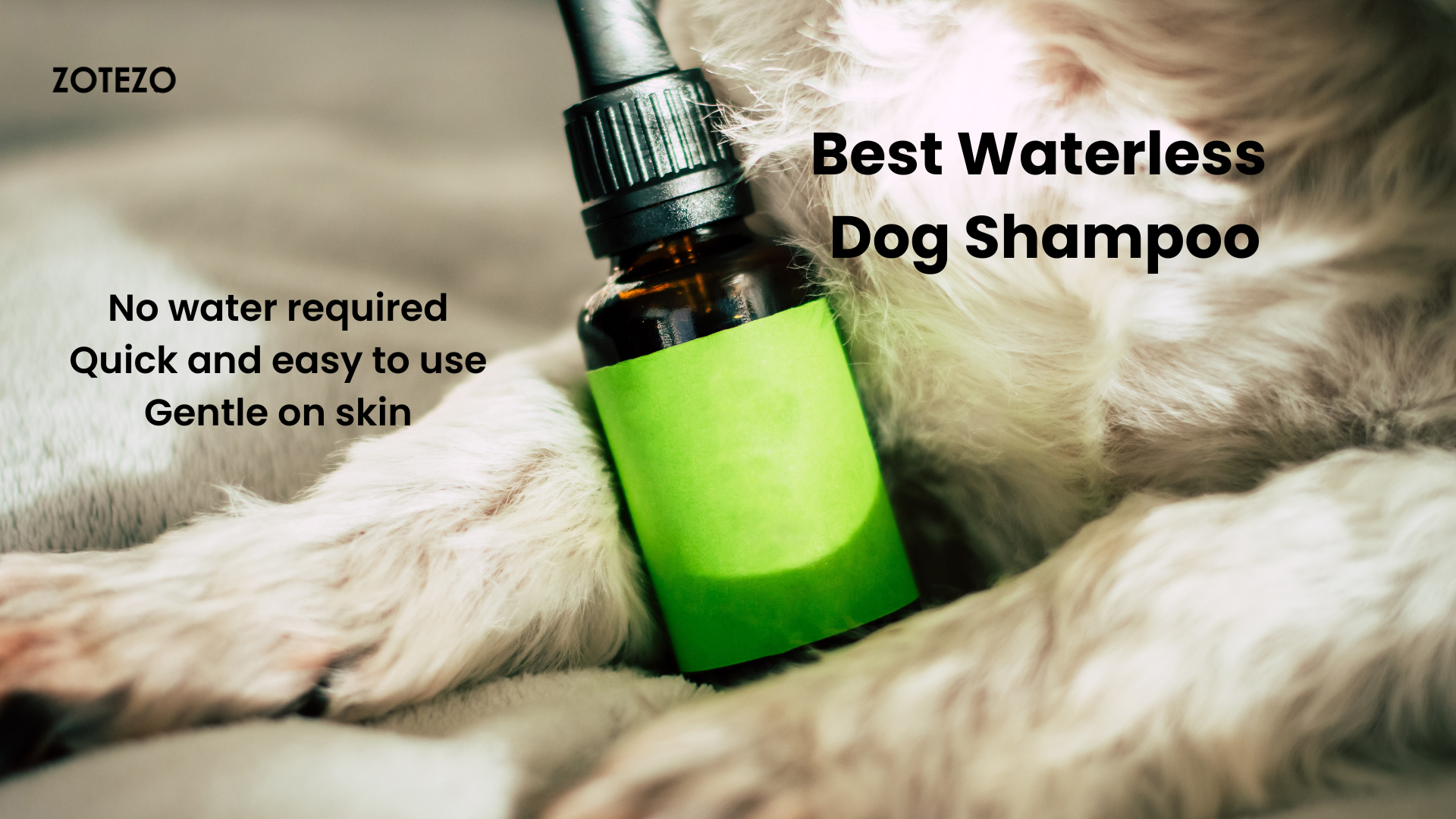 What is the best hotsell waterless shampoo for dogs