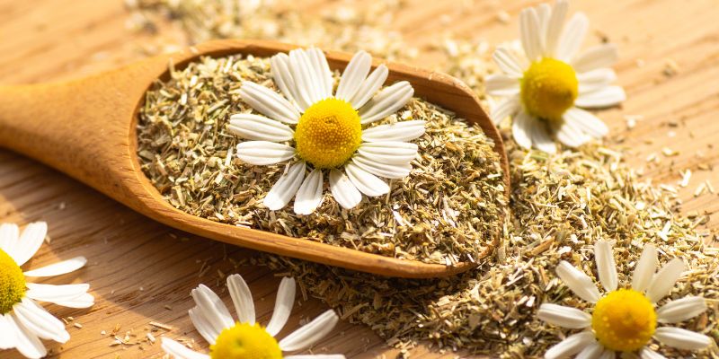 Chamomile Extract Supplements in Spain