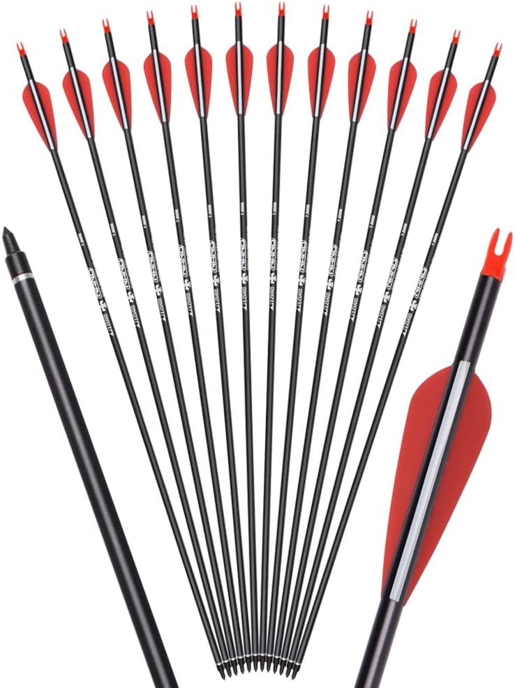 Carbon Arrows for Archery - Adult Hunting Arrows - 5...