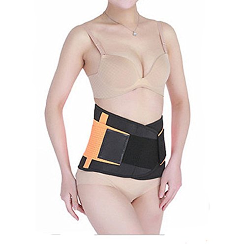 Fauhsto Waist Support Belt - Adjustable Lumbar Back ...