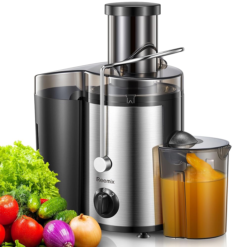 Reemix Stainless Steel Juicer, 500W, Ea...