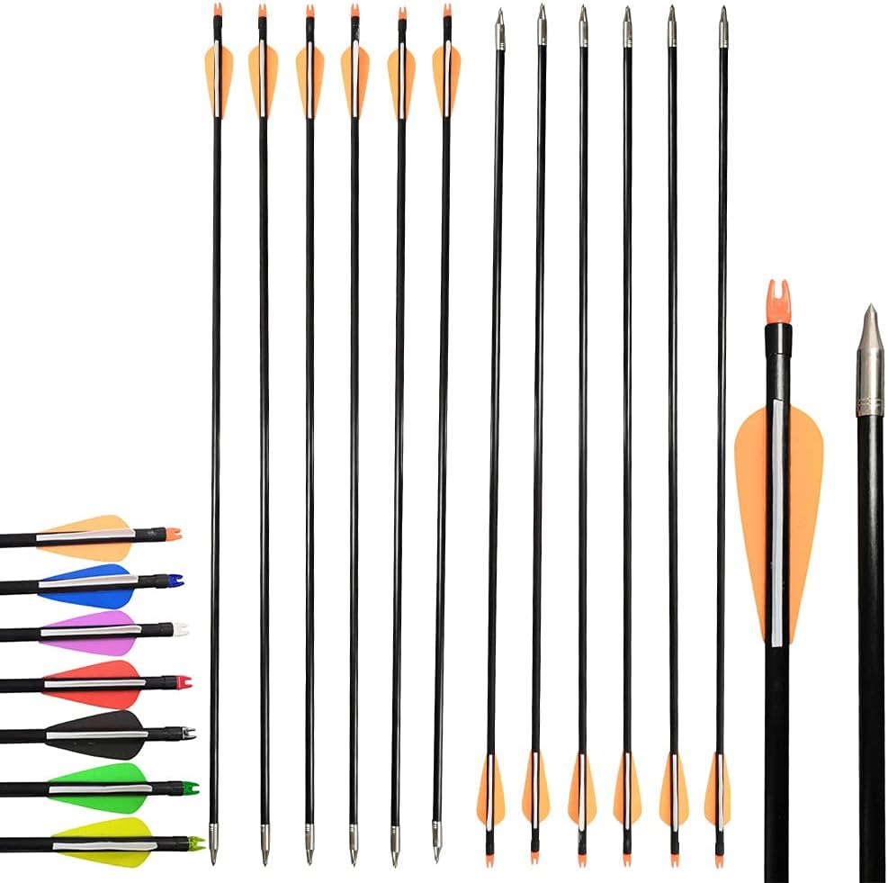 SHARROW 31-Inch Fiberglass Archery Arrows - Set of 12