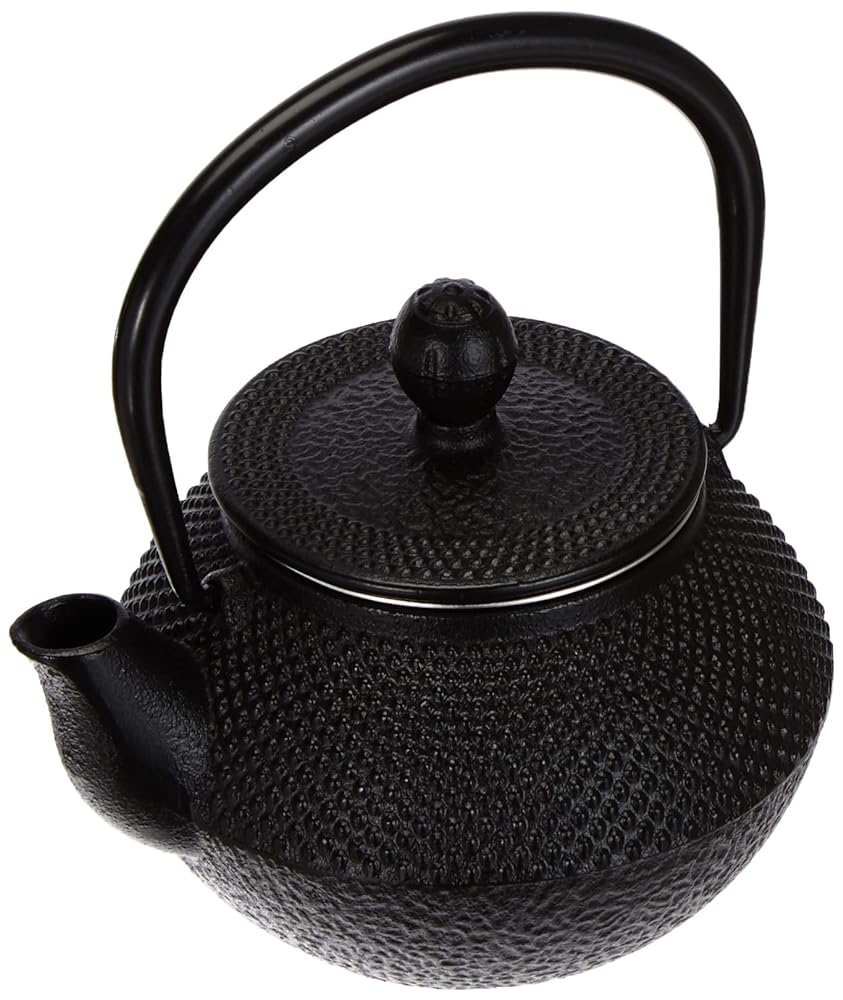 Vier Ten Cast Iron Teapot, 0.3L