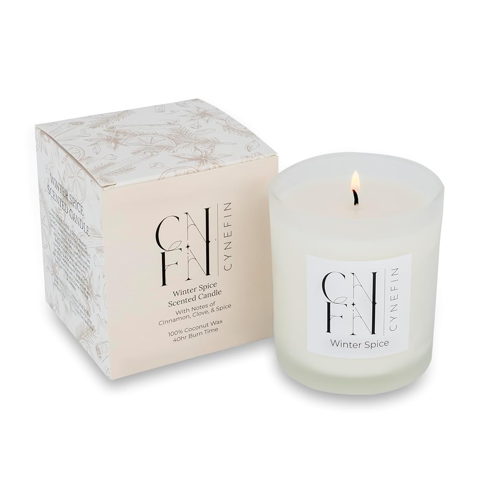 Winter Spice Candle by Brand X