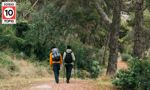 Trekking Trousers For Men in France