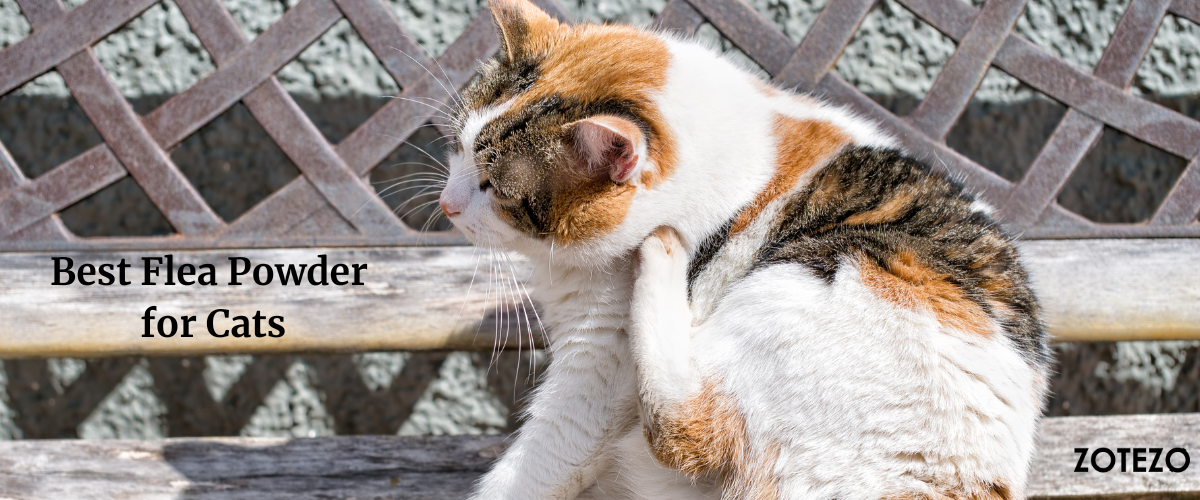 Flea Powder for Cats in France