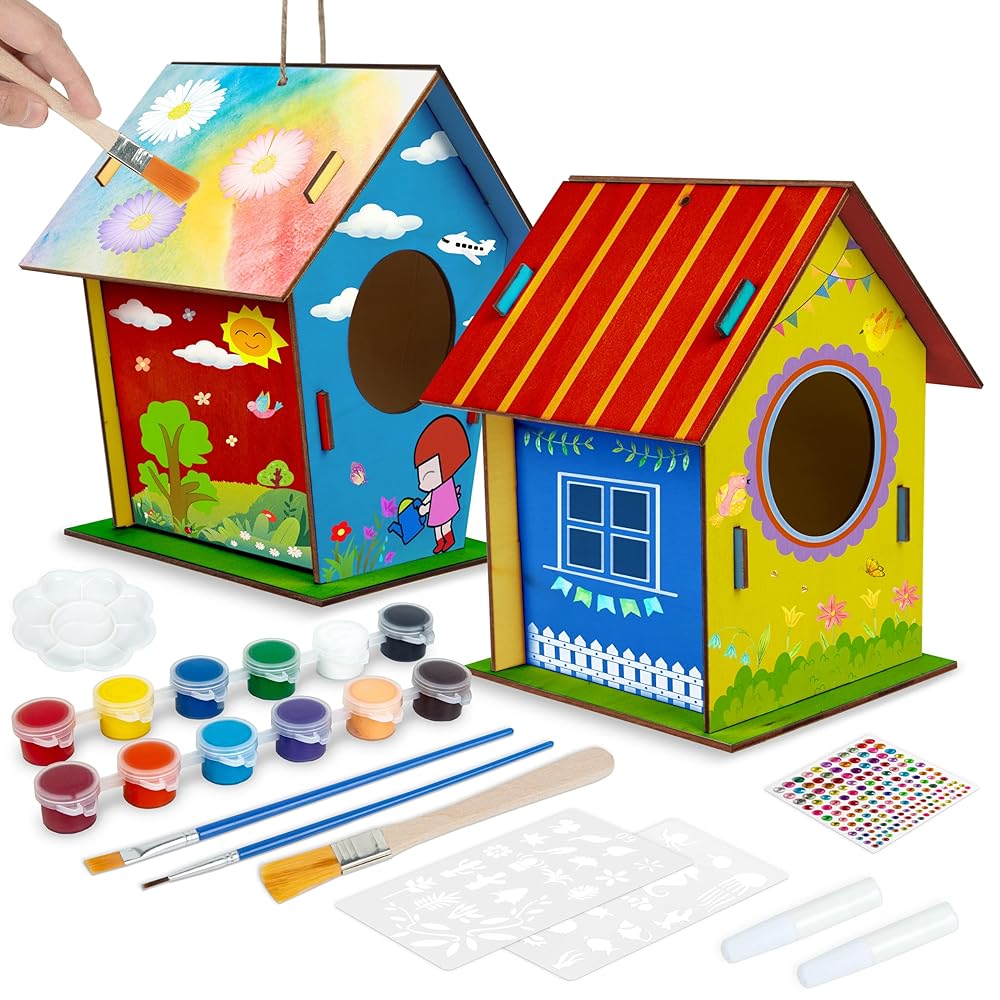 DIY Kids Birdhouse Kit with Paints and ...