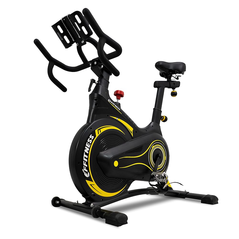 Professional Indoor Spin Bike with 13 kg Flywheel