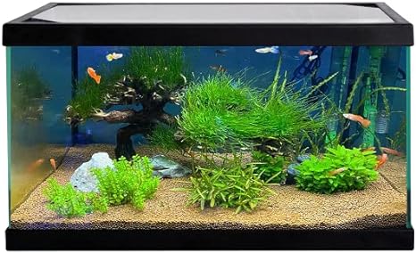 Vydra PLIKO 20L Glass Aquarium