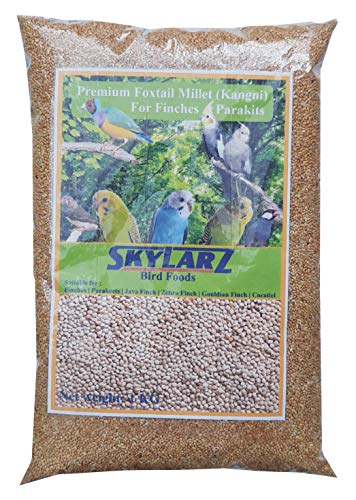 Happy Tails Kangni Seed Bird Food