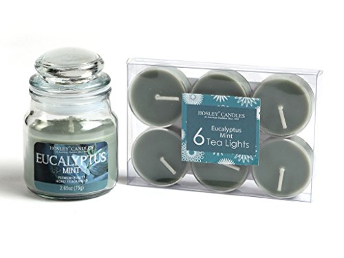 Hosley Eucalyptus Scented Candles