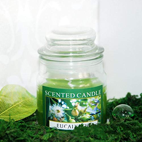 Infispace Eucalyptus Scented Candles