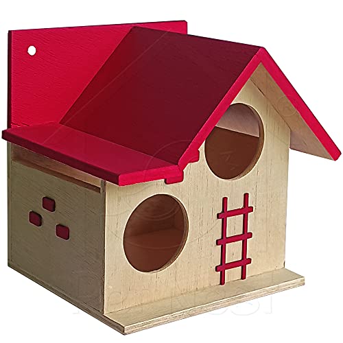 PetNest Bird House for Balcony and Garden Hanging