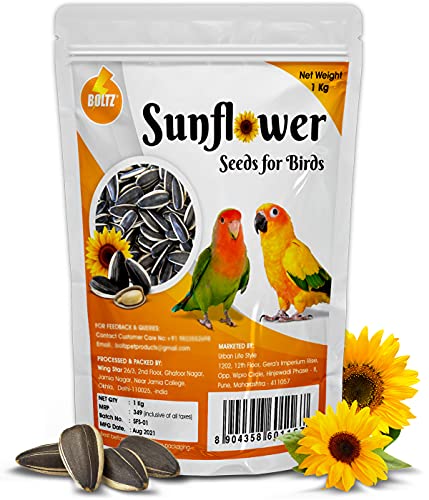 BOLTZ Striped Sunflower Seeds