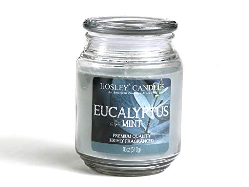 Hosley Eucalyptus Mint Highly Fragranced