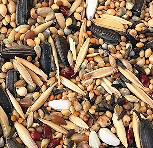 RS Birds & Grains Pet Love's Mix Seeds Bird Food