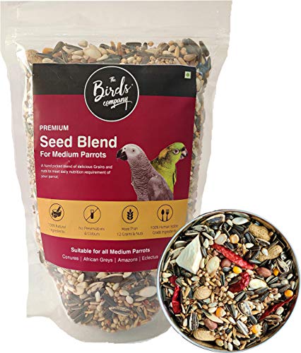 The Birds Company Premium Seed Blend