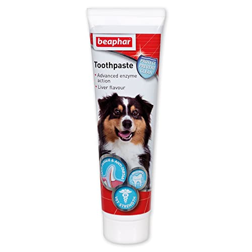 Beaphar Toothpaste for Dogs and Cats, 1...