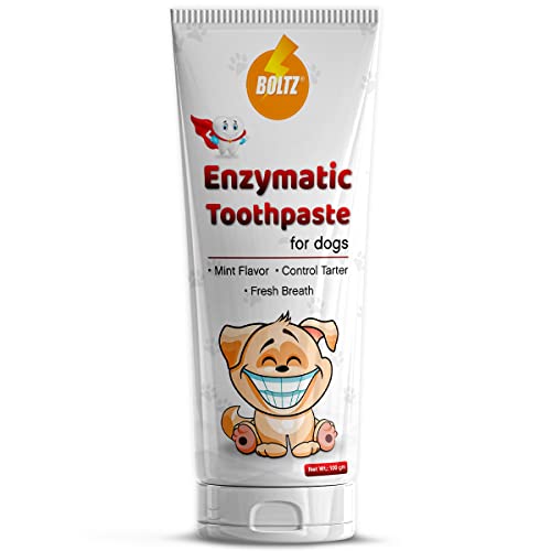 Boltz Enzymatic Toothpaste for Dogs 100gm with Mint ...