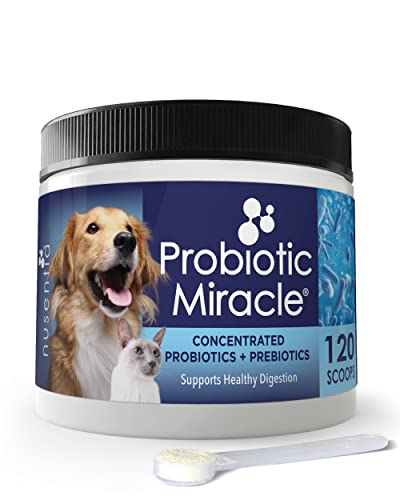 Canine Probiotics -Probiotic Miracle for Dogs & ...