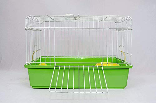 Taiyo Pluss Discovery Guinea Pigs CAGE/...