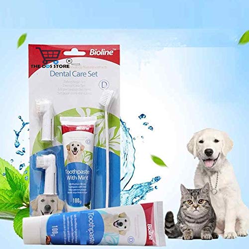 THE DDS STORE Dog Toothpaste Mint Flavor 100g - with...