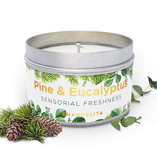 CHANDELITA Pine & Eucalyptus Aromatherapy Candle...