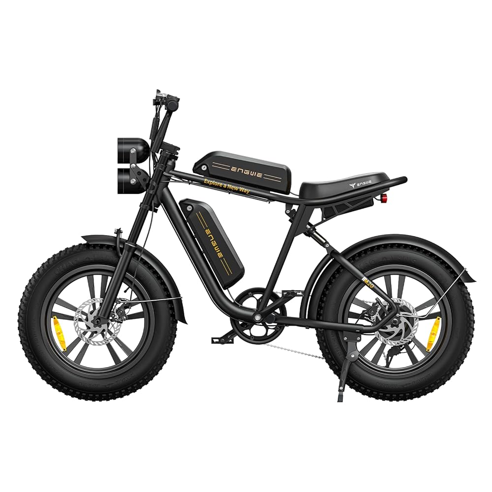 ENGWE M20 Electric Bike with Dual Battery System