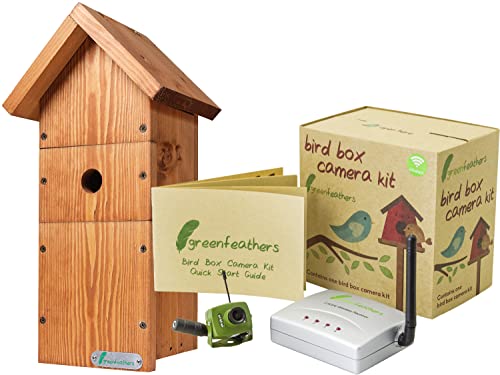 Green Feathers Bird Box Camera