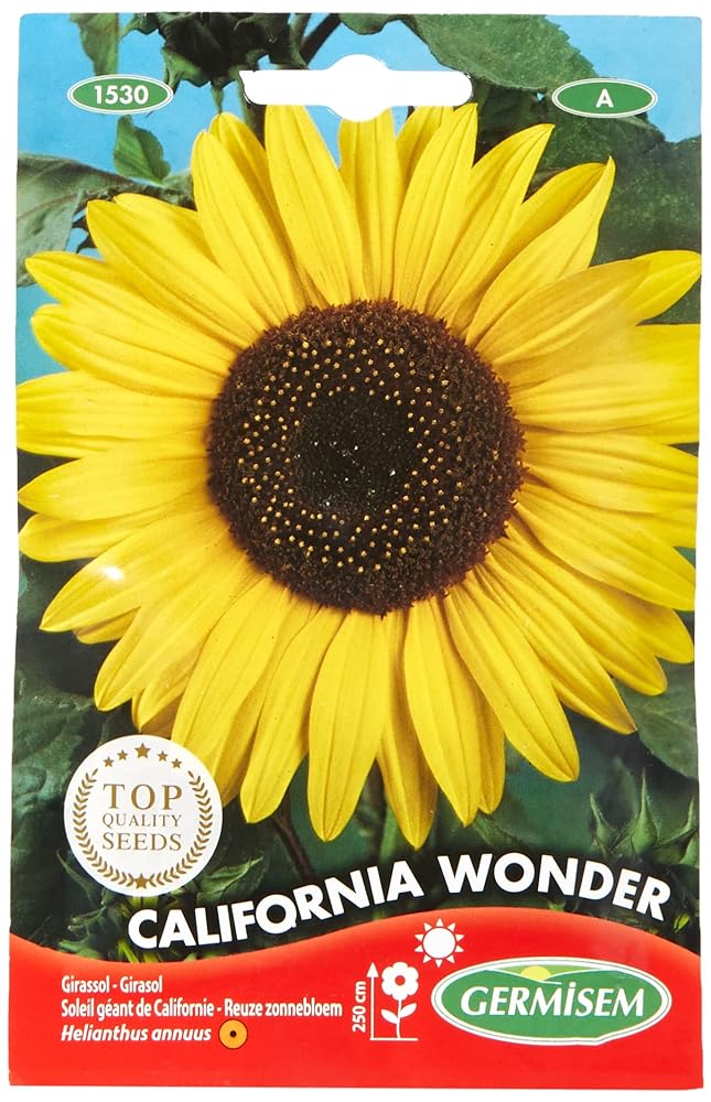 Germisem California Wonder Sunflower Seeds