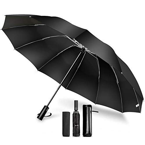 DeliToo Foldable Umbrella - 12 Ribs, Auto Open/Close