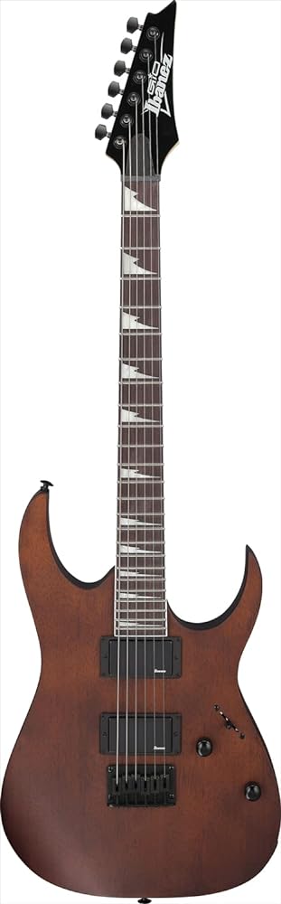 Ibanez Electric Guitar, Walnut Flat Finish