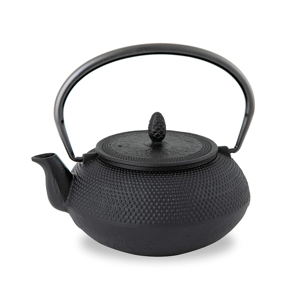 Logis Associates Nambu Ironware Teapot