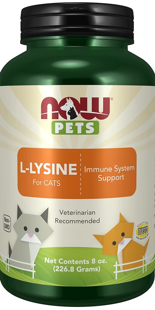 Now Foods Cat L-Lysine Powder