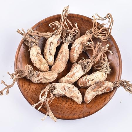 500g Jin Chan Hua Cordyceps