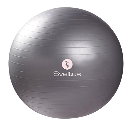 Sveltus Gymball