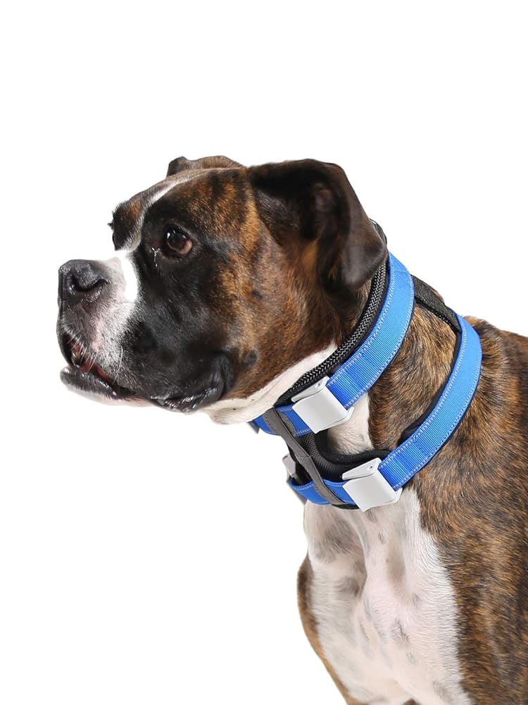 Cesar Millan Pack Leader Collar™ Traini...