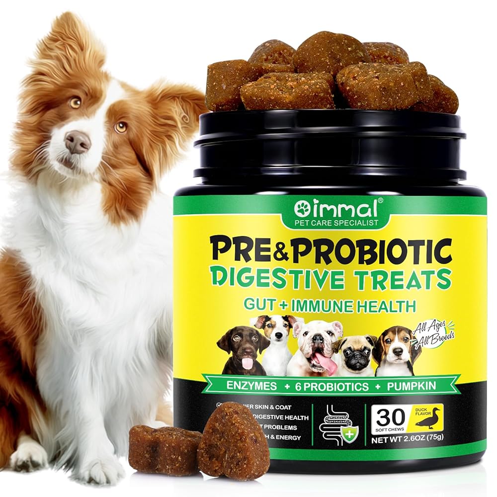 Dog Probiotic Chew Treats - Gut Health and Immunity ...