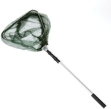 Generic Pond Fish NET with Telescopic H...