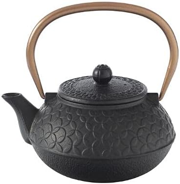 Japanese Cast Iron Teapot with Strainer