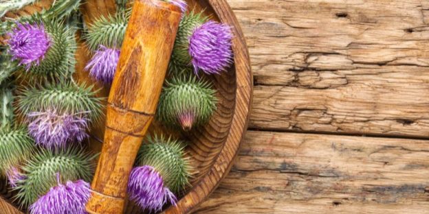 A Dietitian’s Picks of the 6 Best Milk Thistle Supplements of 2024 in Sweden