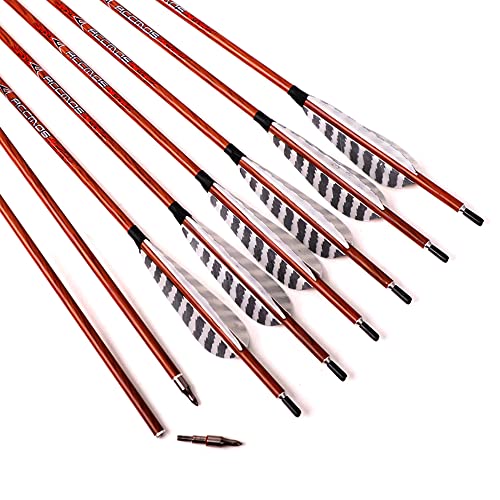 31″ Arrow Spine 600 Carbon Arrows