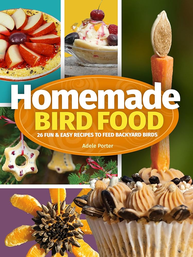 Bird Food Recipes: Easy & Fun