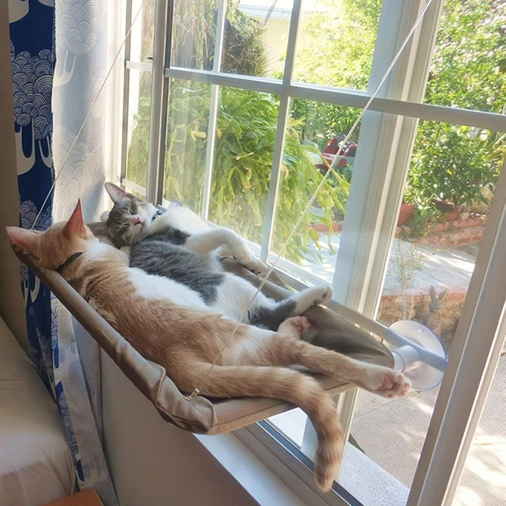 Cat Window Perch Hammock – Coolin...