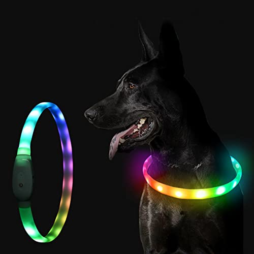 Foern LED Dog Collar – Rechargeab...