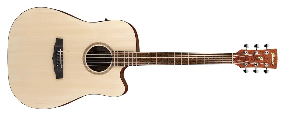 Ibanez PF10CE-OPN Electric Acoustic Guitar