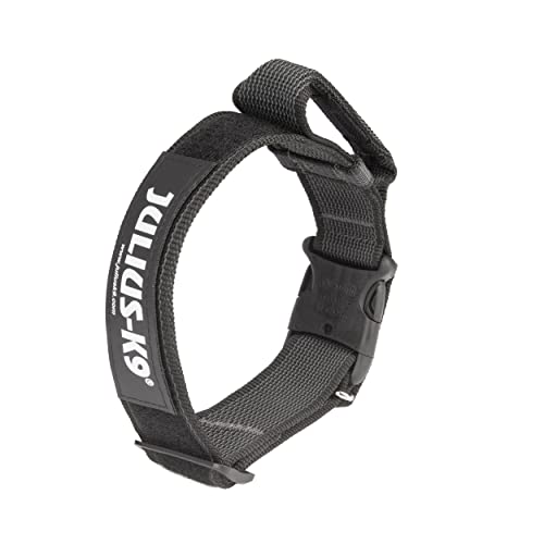 Julius-K9 Black/Gray Collar, 40mm