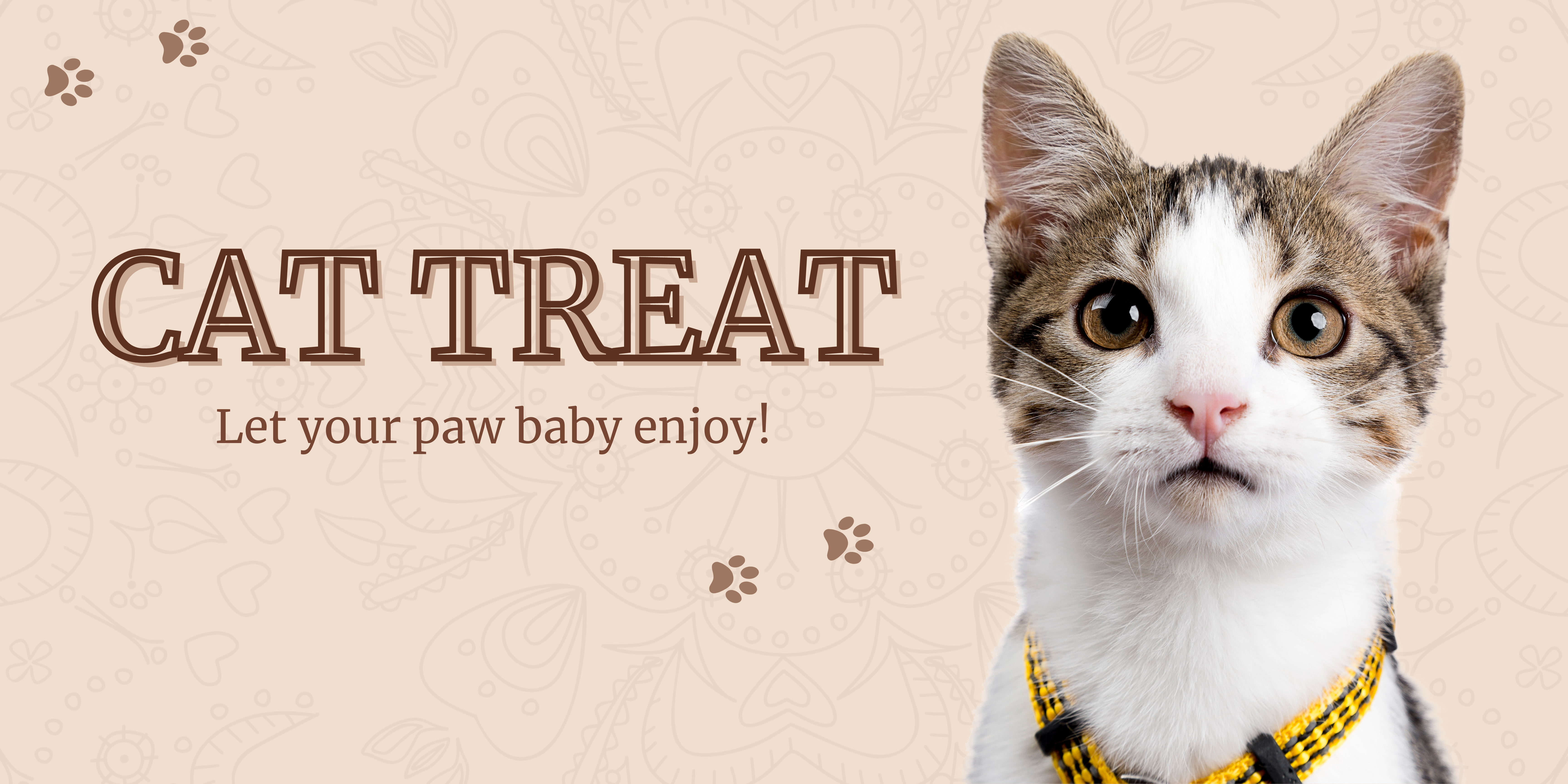 best cat treats in Singapore