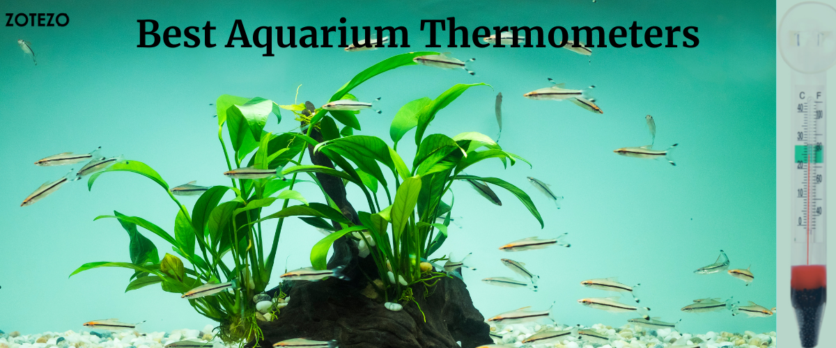 AQUANEAT 2 Pack Aquarium Thermometer, Reptile Thermometer, Fish