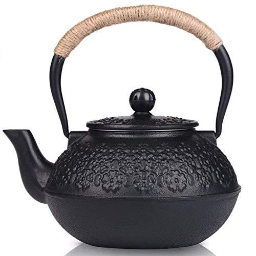 Sotya Tetsubin Japanese Tea Kettle